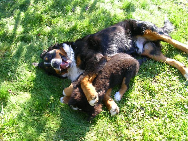 Foto: Max a Sam