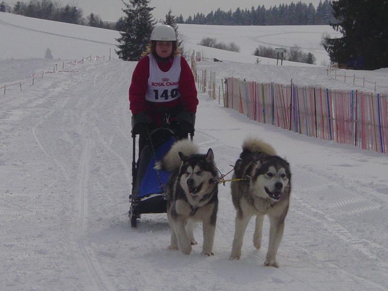 Foto: zima