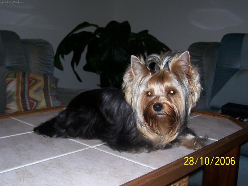 Foto: Bessy
