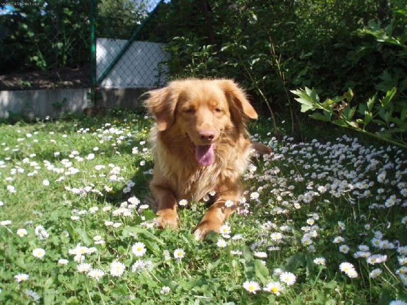 Foto: baruska-milasek 2