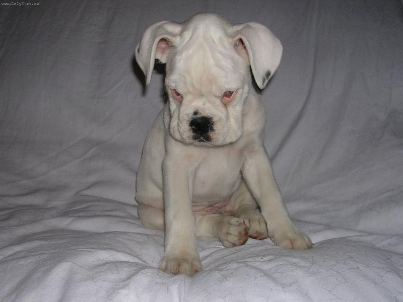 Foto: Annie