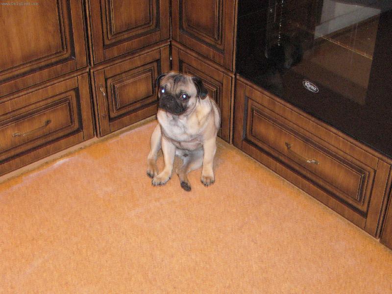 Foto: Arnie