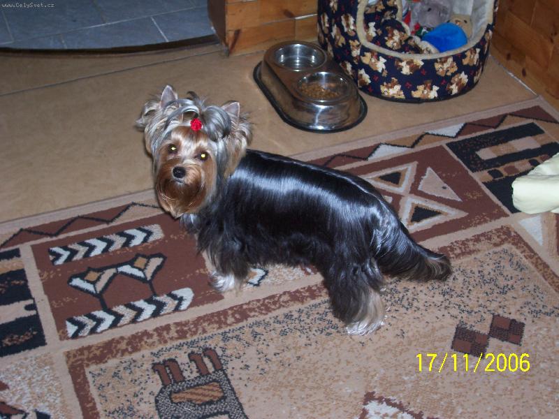 Foto: Bessy