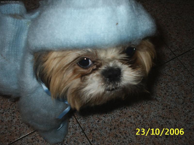 Foto: salinka