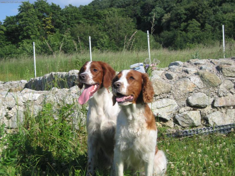 Foto: IRWS+WSS-lov�me spolu