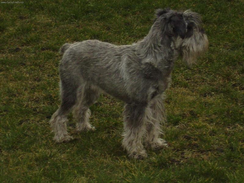 Foto: Eimy