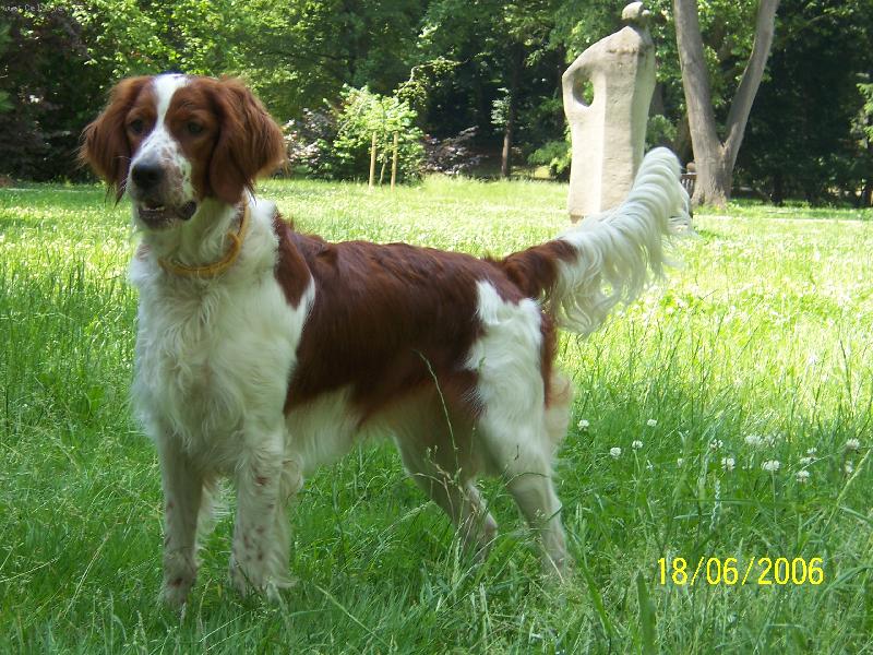 Foto: Thea ve Stromovce