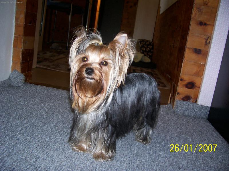 Foto: Bessy