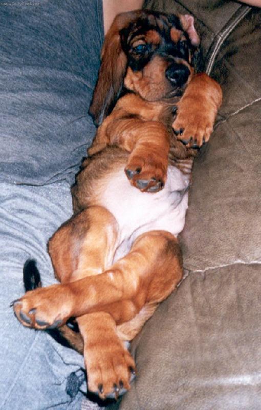 Foto: Takhle si hov�m