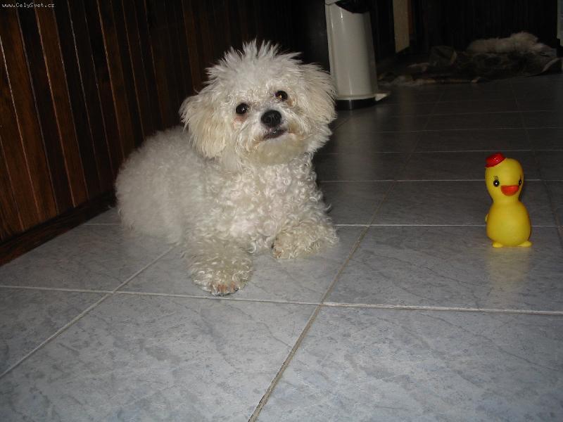 Foto: SISI