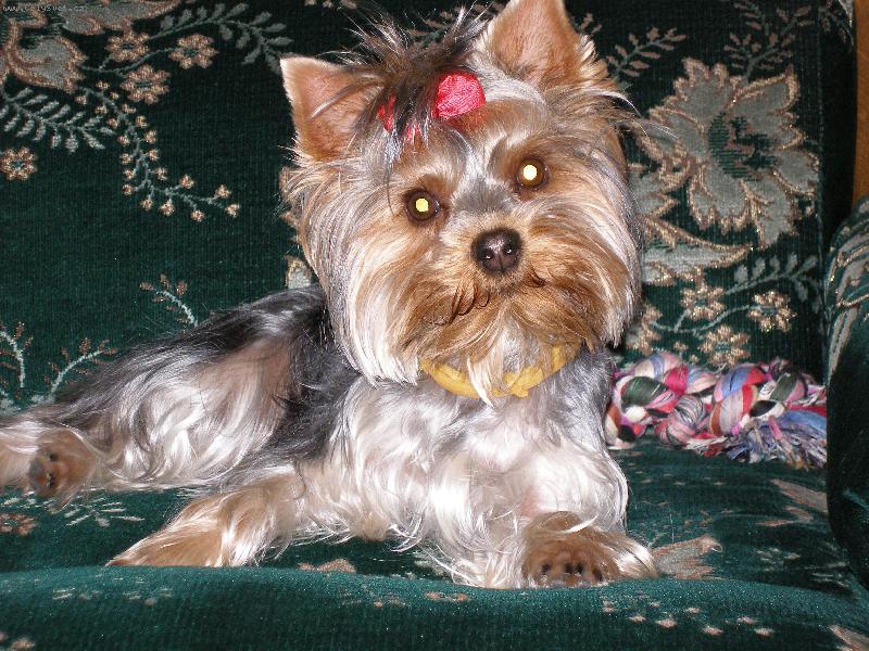 Foto: Nelinka