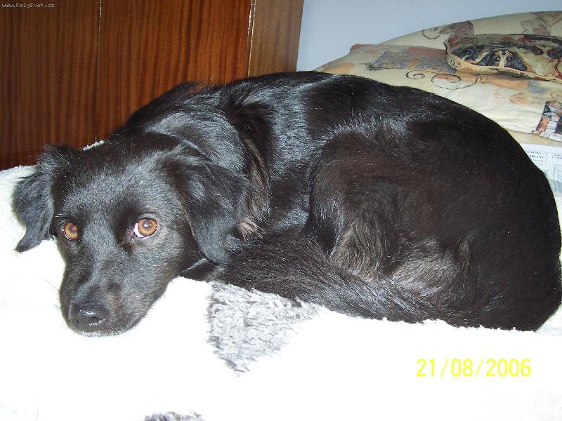 Foto: almik-odpo��v�m!!