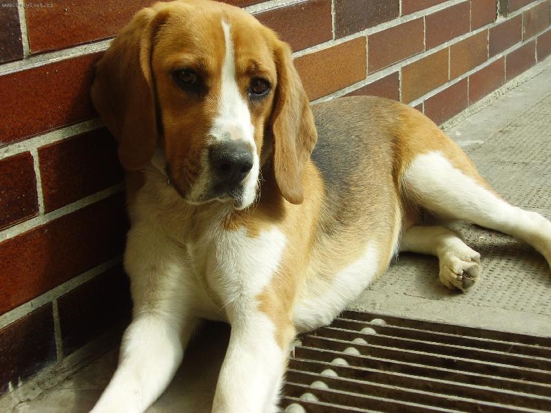 Foto: Bety