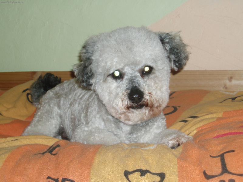 Foto: Maxik-Max�k