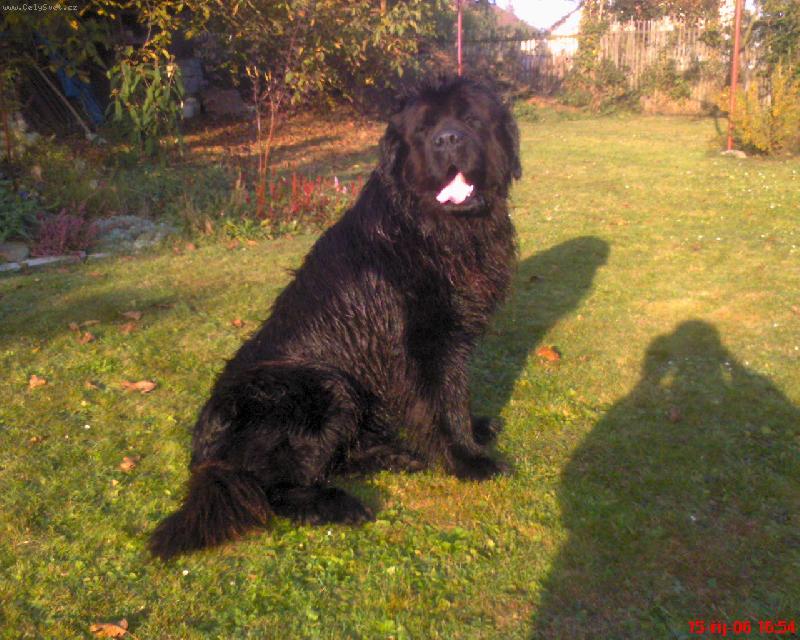 Foto: Alf��ek