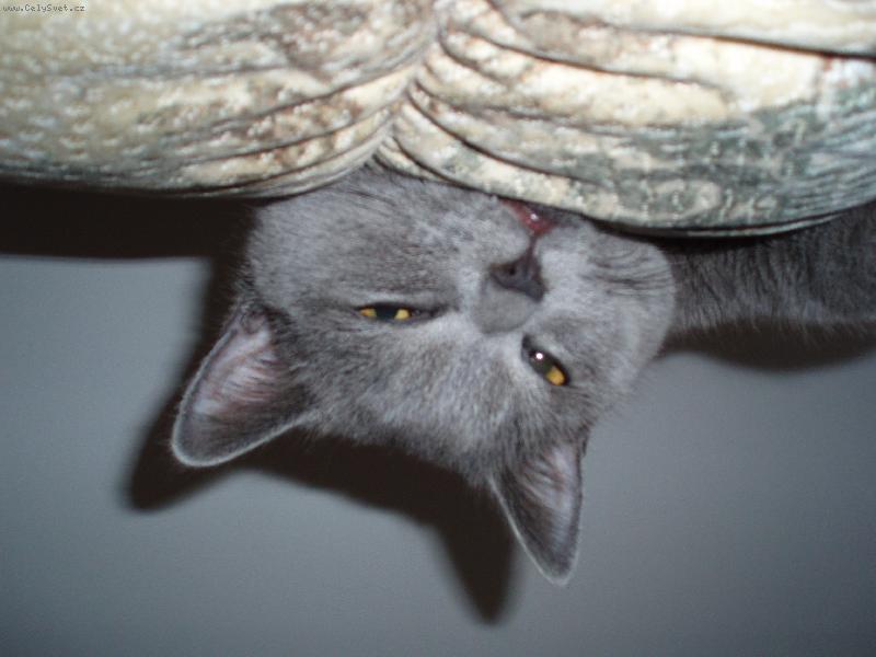 Foto: Max�k