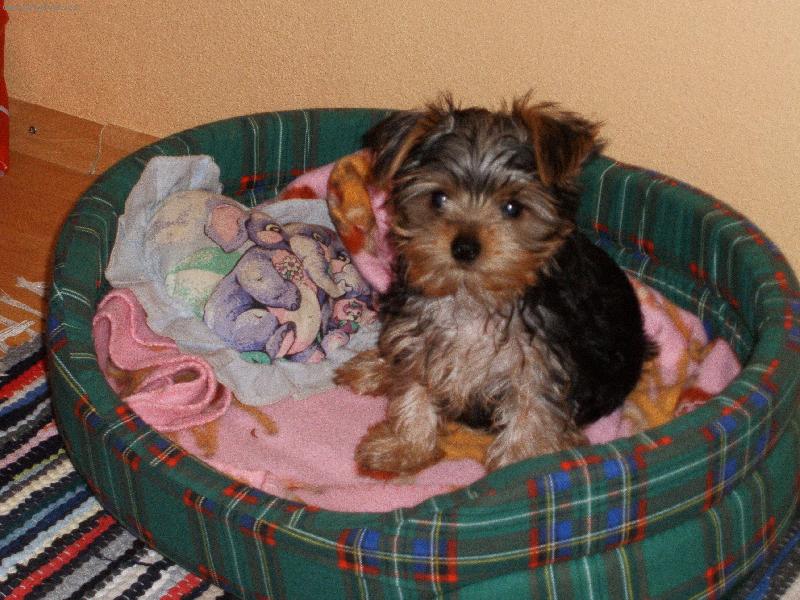 Foto: Jimmy:)