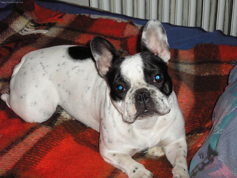 Foto: Na�e Ajka