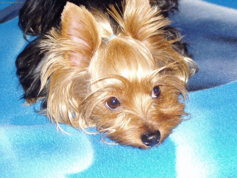 Foto: Maiki 3