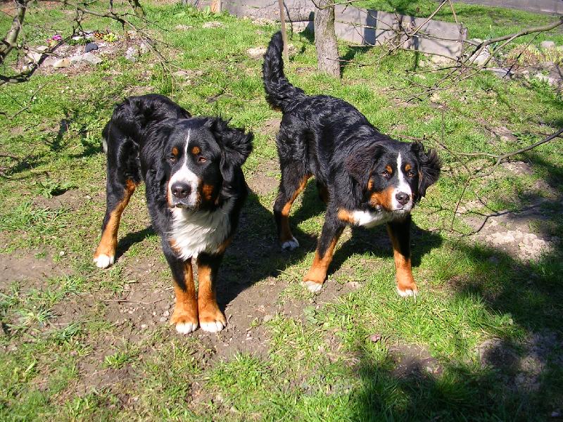 Foto: Max a Sam