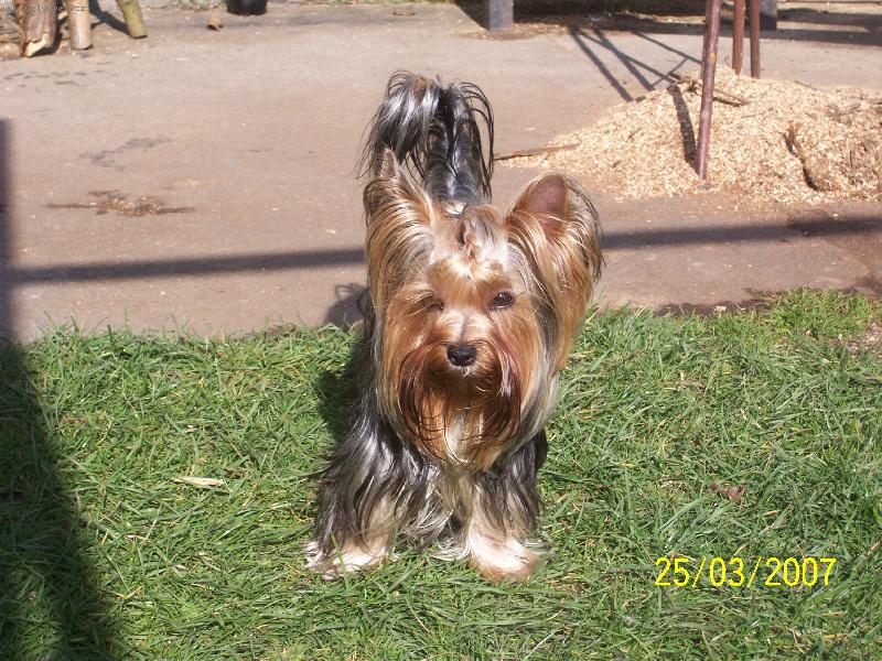 Foto: Bessy