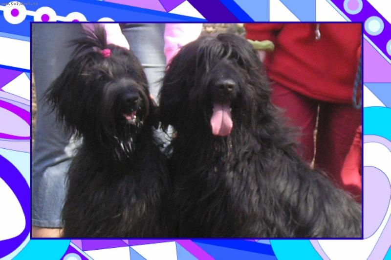 Foto: chlup��i-chlup��i