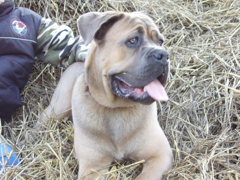 Foto: nico na stohu
