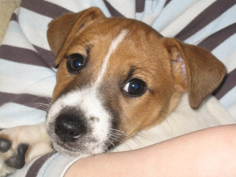 Foto: Maiki