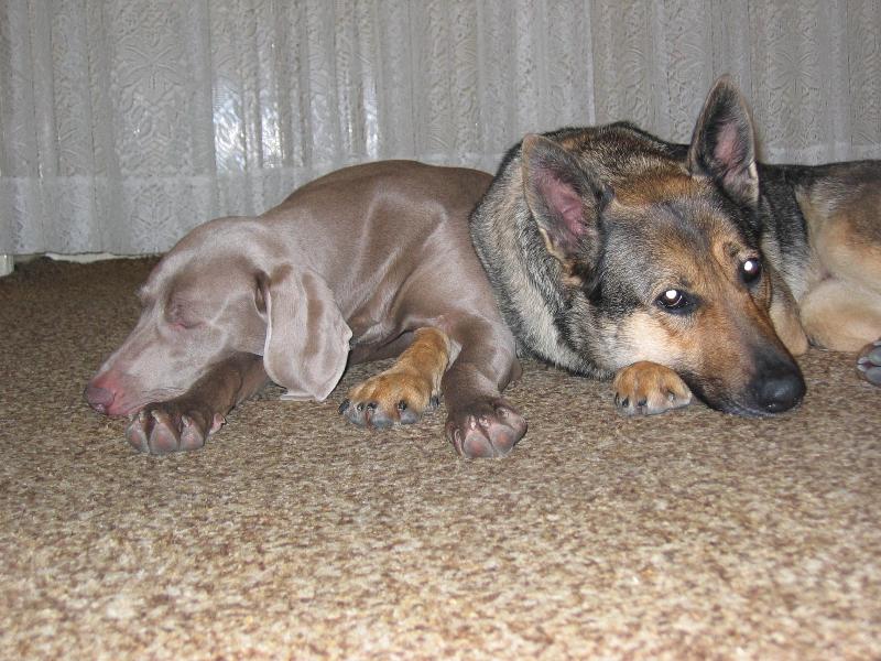 Foto: Unissa