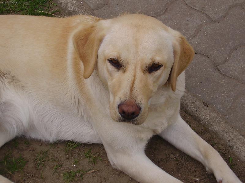 Foto: Jessie