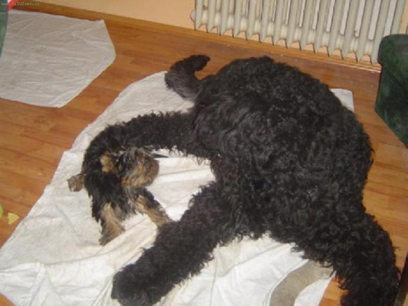 Foto: Malej a velkej