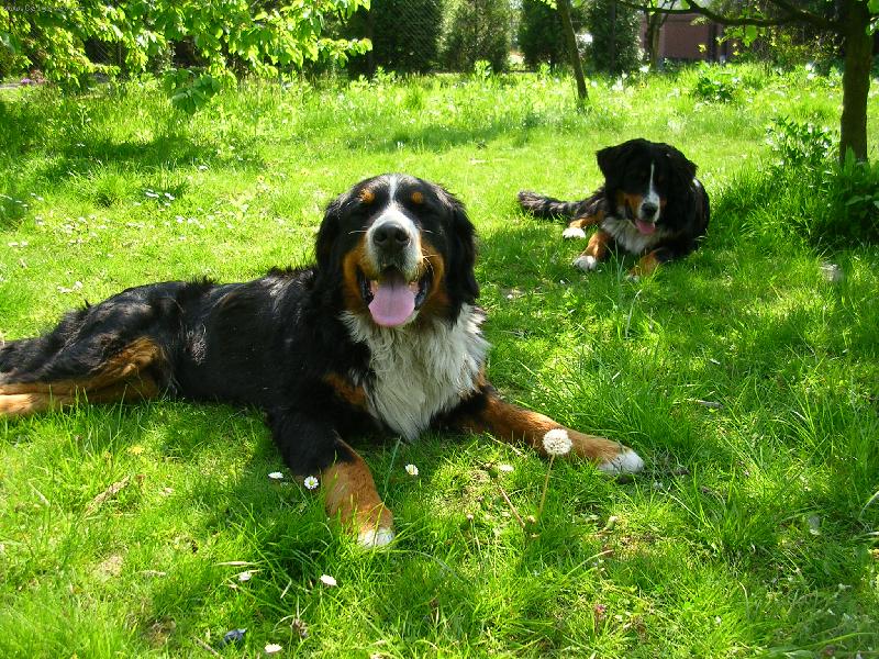 Foto: Max a Sam
