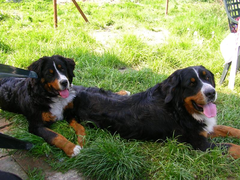 Foto: Max a Sam