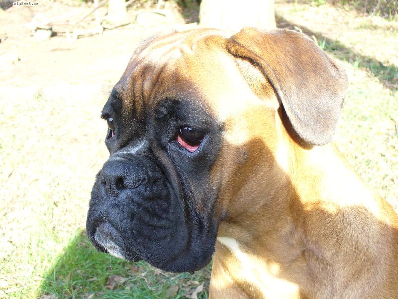 Foto: Barbra-Bonnie