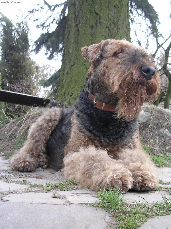 Foto: Kokis-taky krasnej model =)