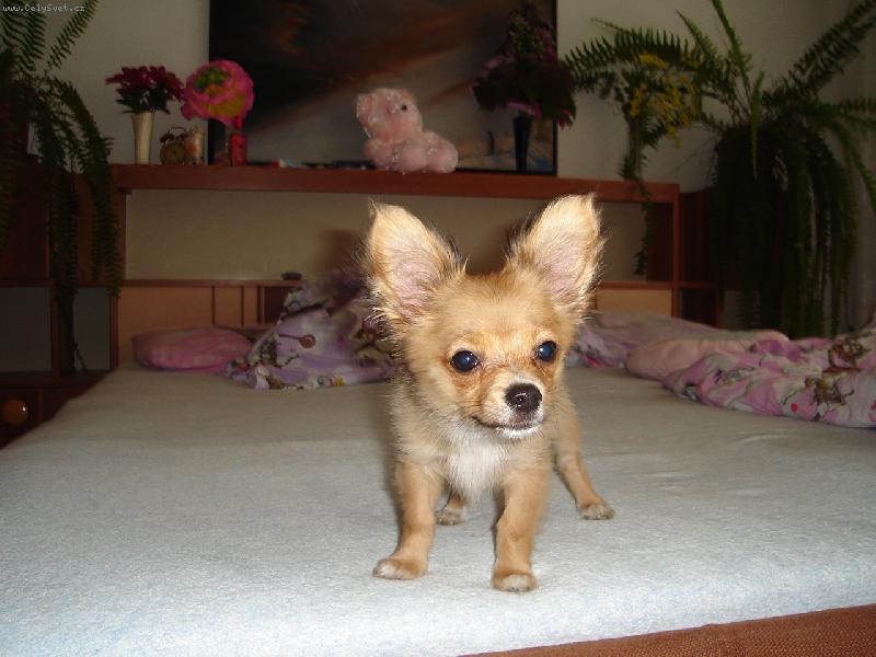 Foto: Luckys��ek-...ve 4 m�s�c�ch