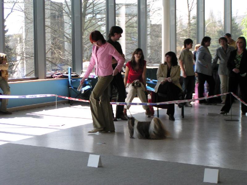 Foto: CH.Jeron Atrei-NVP Ostrava 2007