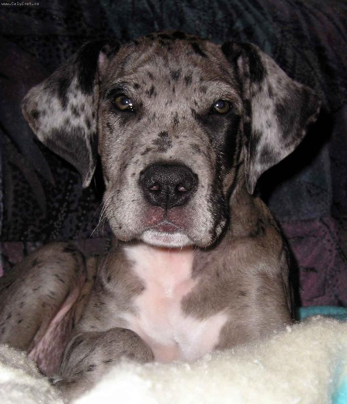 Foto: a to je na�a Roxy