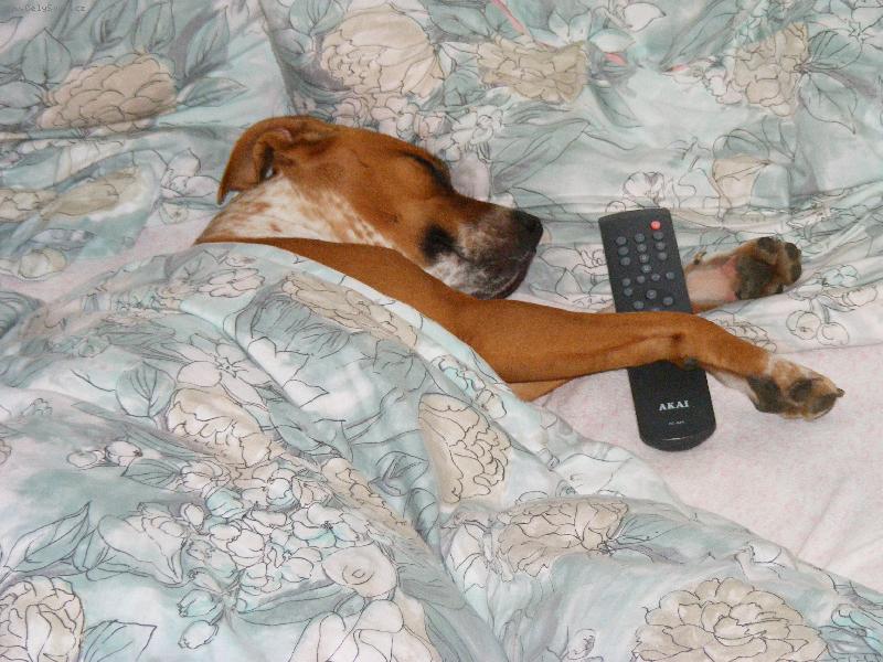 Foto: Kone�n� klid