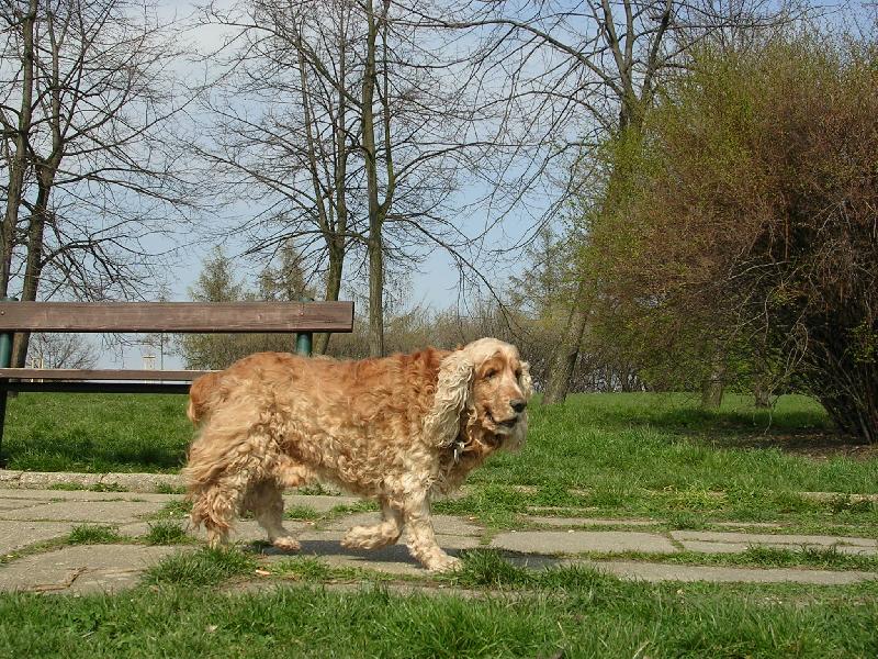 Foto: vzpom�nka na Ronka