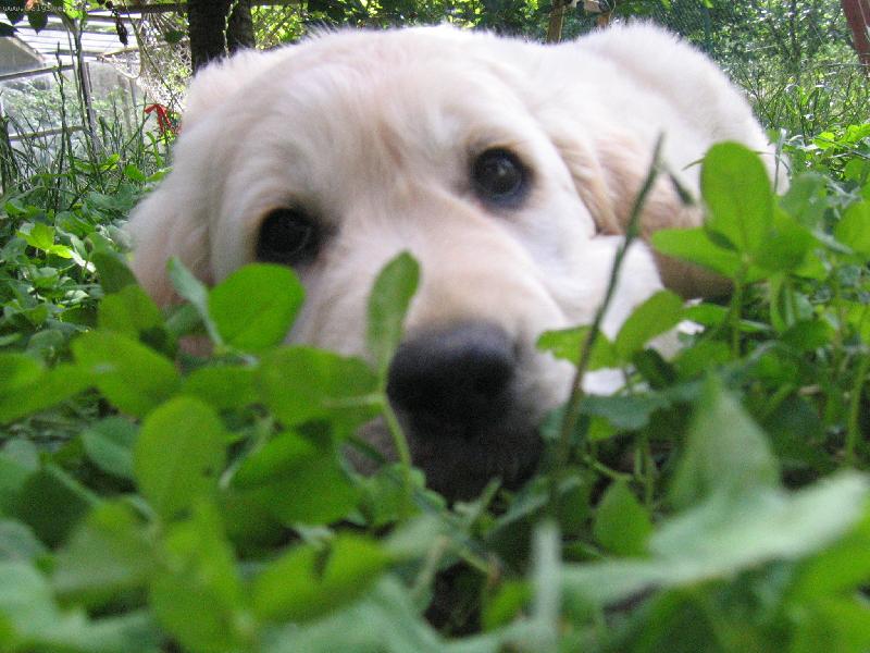 Foto: Eny-eny relaxuje