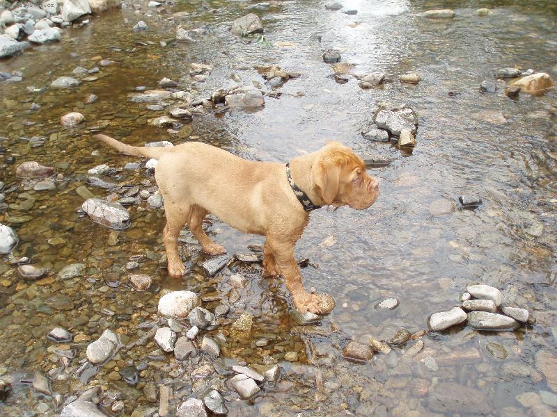 Foto: Carin 3m�s�ce