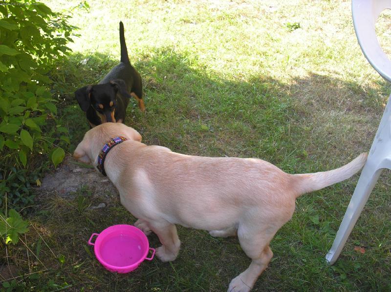 Foto: Amy a Britu�