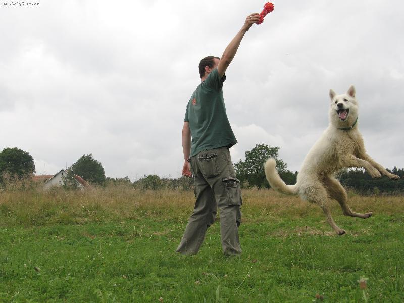 Foto: Alexis Dodecantheon-Je�t� jednou hop!