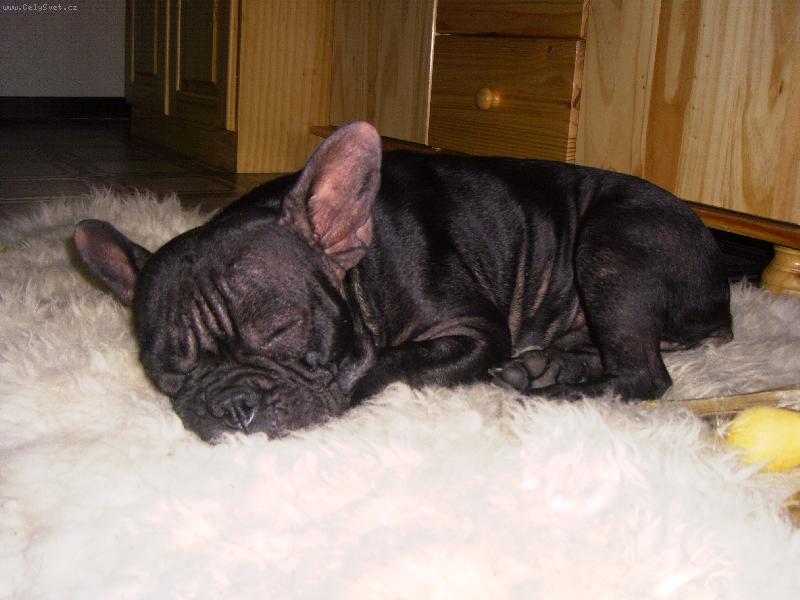 Foto: Barunka-U� je mi rok!