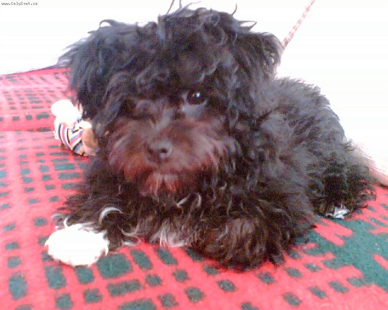 Foto: pohoda-pohodi�ka