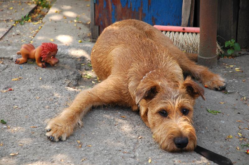 Foto: Ir se lv��kem