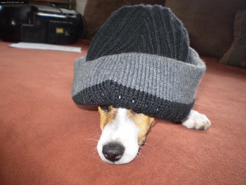 Foto: Bub�k-p��prava na zimu :)