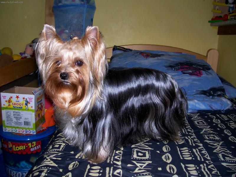 Foto: Bessy-www.jork-bessy.estranky.cz