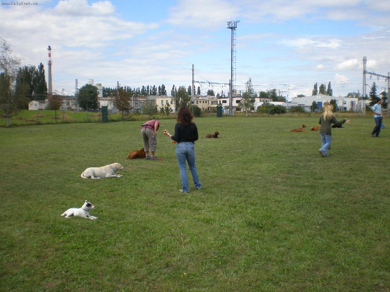 Foto: Na cvi��ku